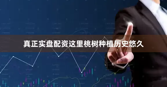 真正实盘配资这里桃树种植历史悠久