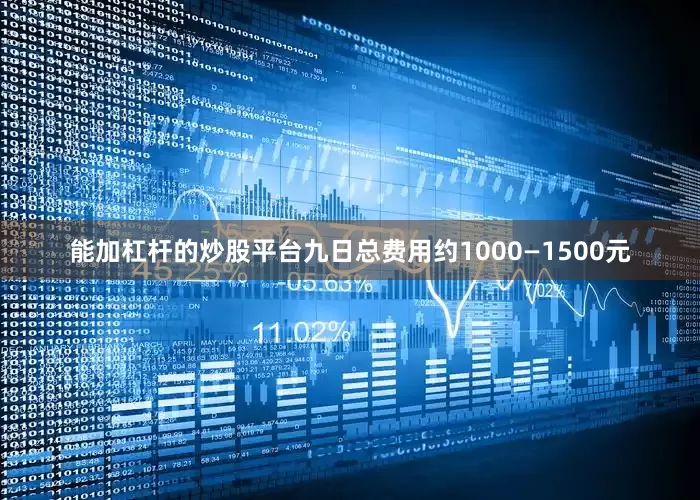 能加杠杆的炒股平台九日总费用约1000—1500元